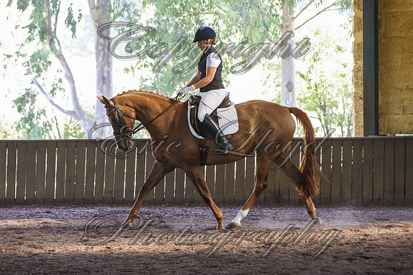 Brookleigh-0622