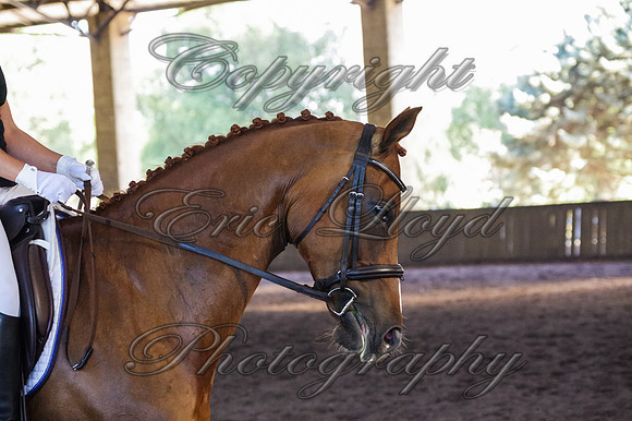 Brookleigh-0640