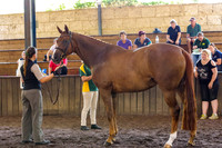 Brookleigh-0090