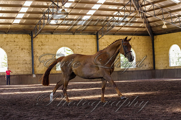 Brookleigh-0072