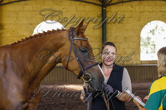 Brookleigh-0030