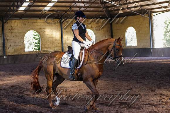 Brookleigh-0642