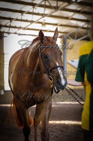 Brookleigh-0041