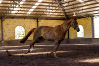 Brookleigh-0073