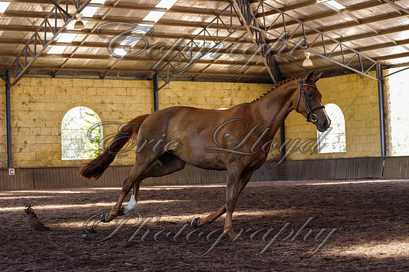 Brookleigh-0073