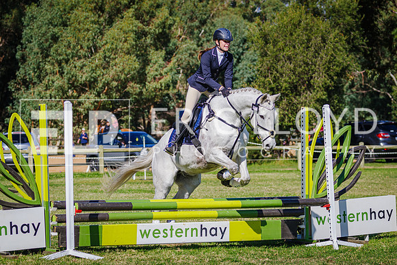 IMGP2357