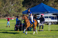 Ev 65cm Jnr