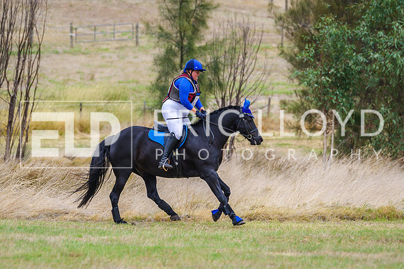 WAYER 2023-6608