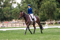 IMGP5948