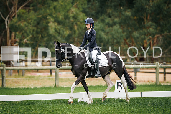 IMGP6555