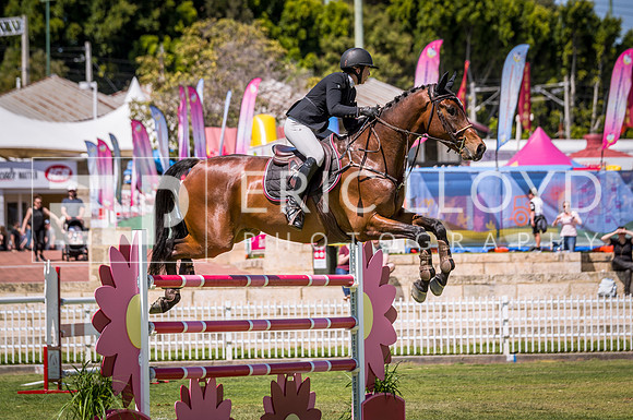 PerthRoyal490
