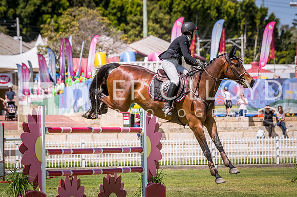PerthRoyal491