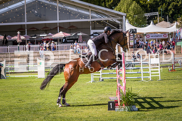 PerthRoyal117