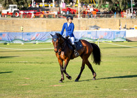 untitled-6093
