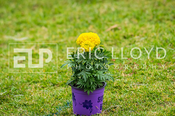 ERIC6318