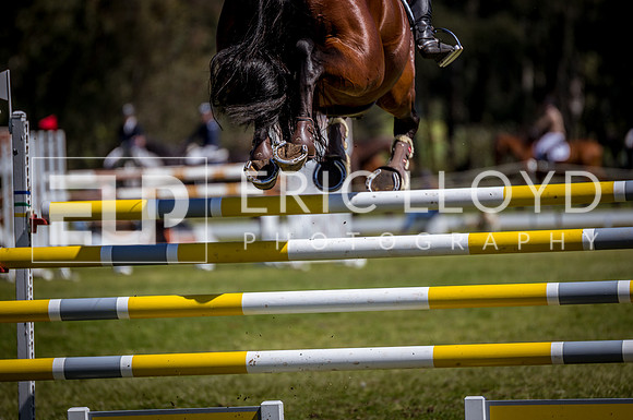 JLLO-220919-1431