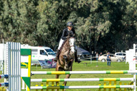 4a) Helena Valley Podiatry Open 1.0 AM5 & 4b) Thoroughbred Sporthorse Assoc 1.0m
