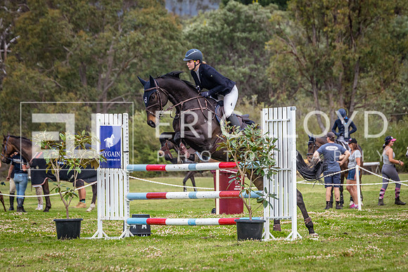 IMGP8751