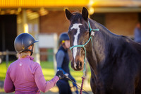 IMGP2925
