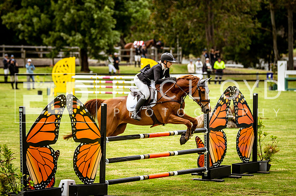 ROYL0505