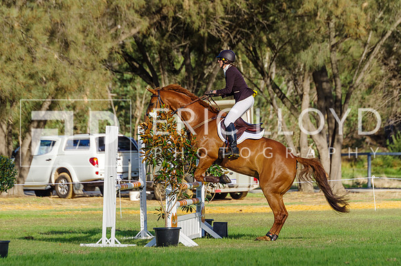 ERIC3364