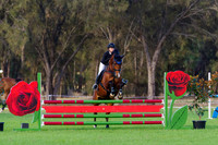 Class A Horseland Midland 95CM OPEN