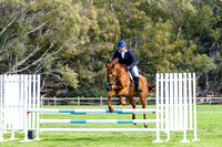 3) Kentaur 80 - 90cm Super 2 Phase 274.5 Including highest placed OTT