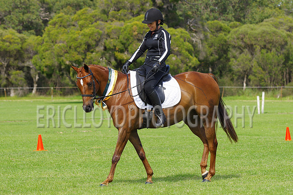 ARCA WH 2014-6625