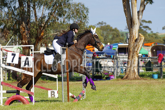Bev Ag 2014-5151