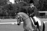 Saturday Grassed Arenas 30.11.2013