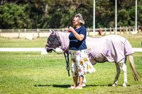 IMGP8264