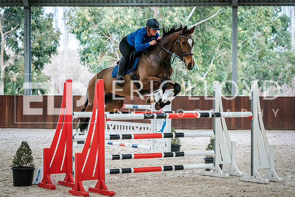 DSCF4341