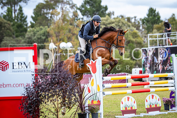 IMGP8575