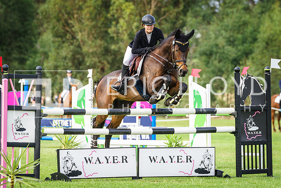 WAYER 2023-7847