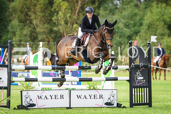 WAYER 2023-7848