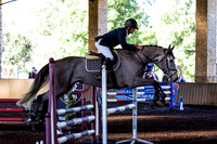 SRSJ Young Horse-6983