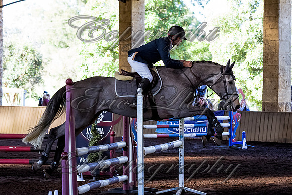 SRSJ Young Horse-6983