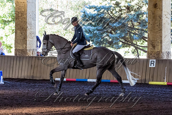 SRSJ Young Horse-6978