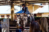 SRSJ Young Horse-6980
