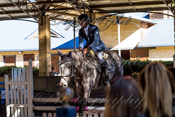 SRSJ Young Horse-6980