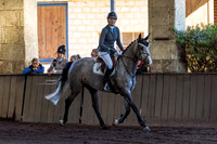 SRSJ Young Horse-6995