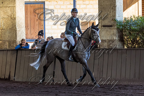 SRSJ Young Horse-6995