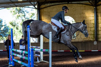 SRSJ Young Horse-7005