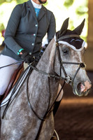 SRSJ Young Horse-7002