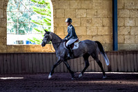 SRSJ Young Horse-6991