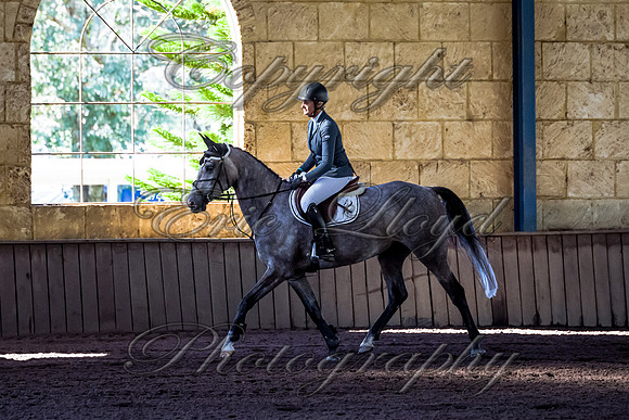 SRSJ Young Horse-6991