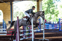SRSJ Young Horse-7007