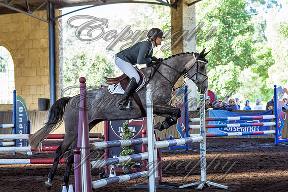 SRSJ Young Horse-7007