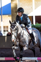 SRSJ Young Horse-7006