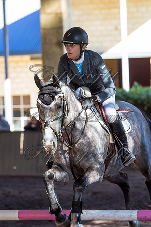 SRSJ Young Horse-7006